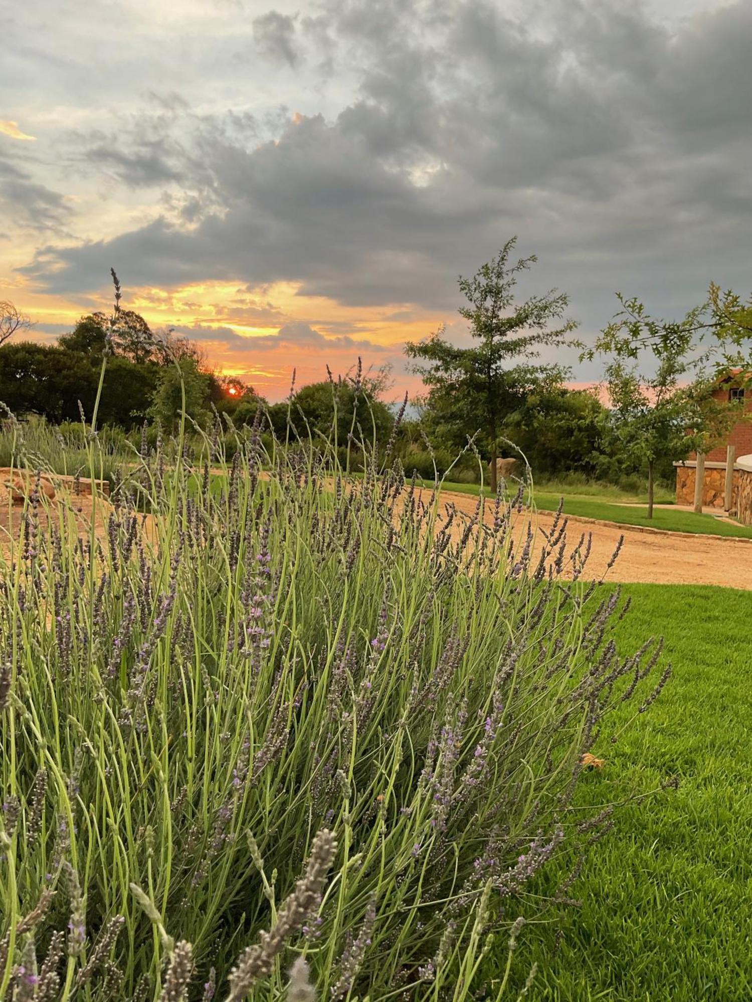 Villa Mount High Luxury Country Estate Lydenburg Exterior foto