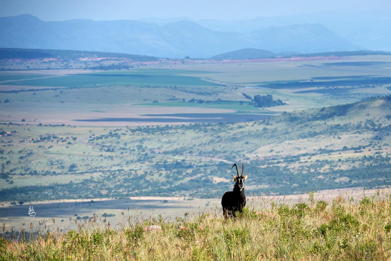 Villa Mount High Luxury Country Estate Lydenburg Exterior foto